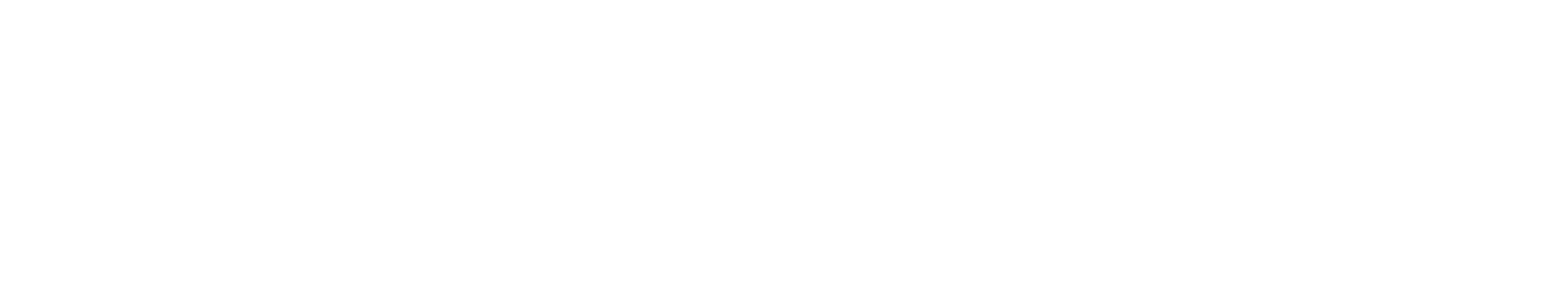 Data Leak